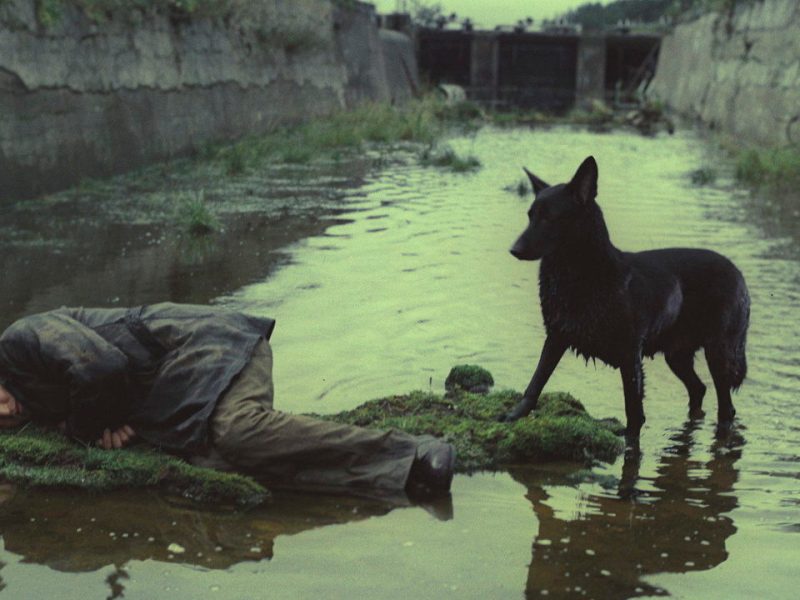 Spring Issue: On Films and&nbsp;Pop-Culture